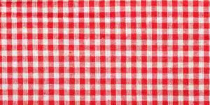Red and white checkered pizza tablecloth.